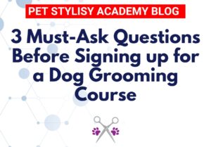 3 must ask questions before signing up for a dog grooming course