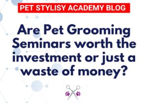 Are pet grooming seminars worth the investment or just a waste of maney