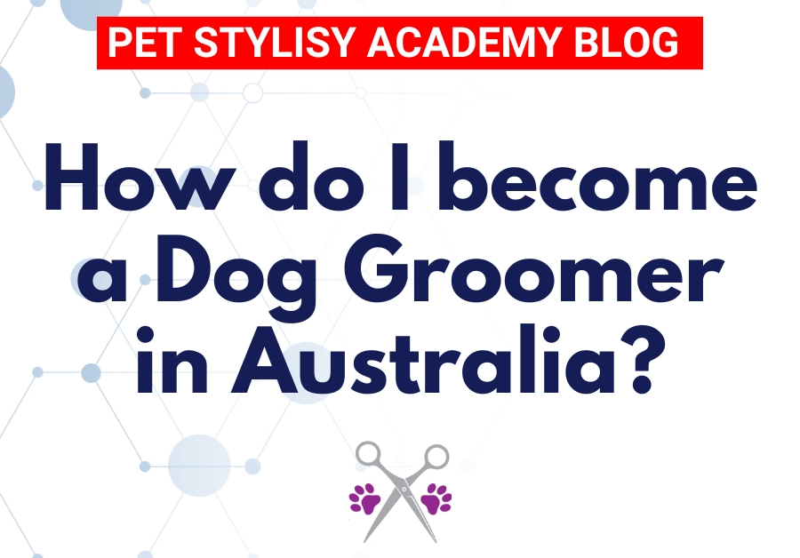 How do i become a dog groomer in Australia