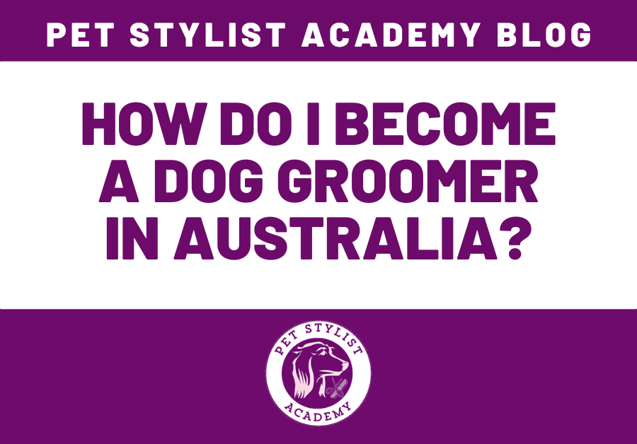 How do i become a dog groomer in Australia