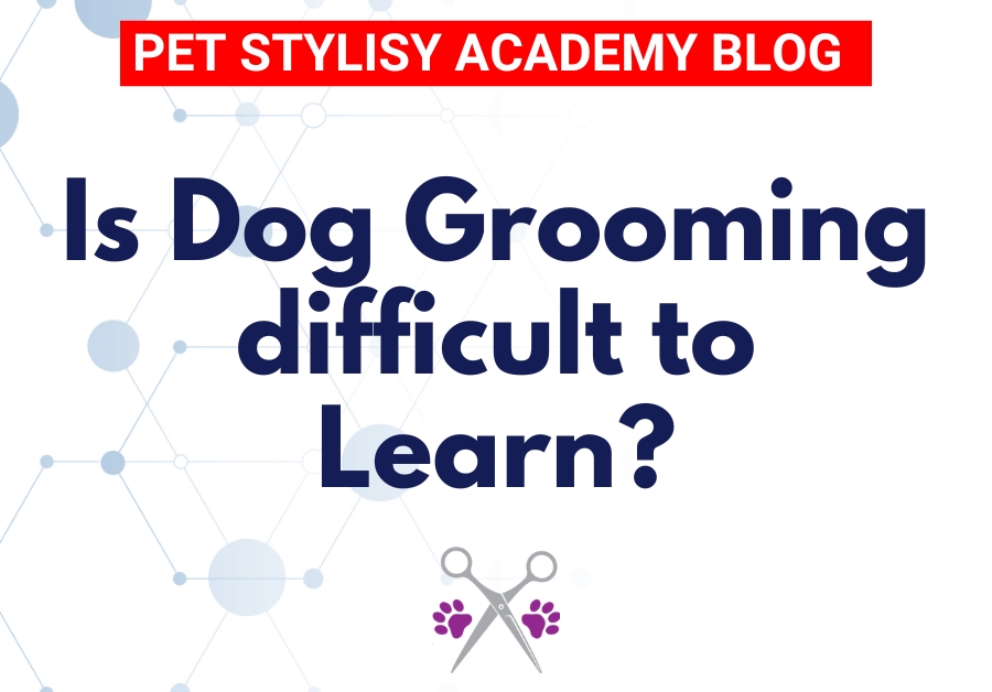 Is Dog Grooming Difficult to Learn