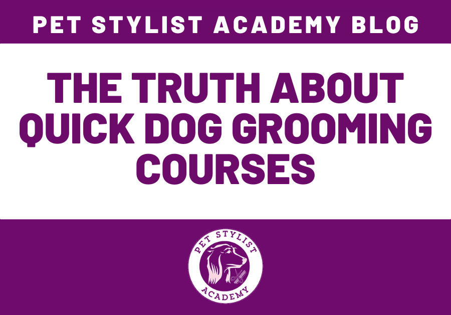 truth about quick dog grooming courses