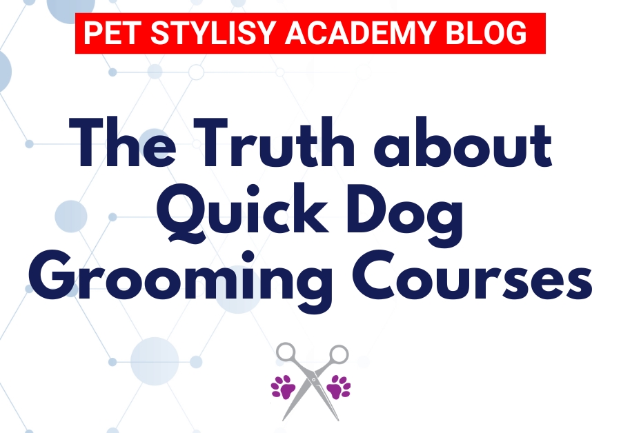 truth about quick dog grooming courses