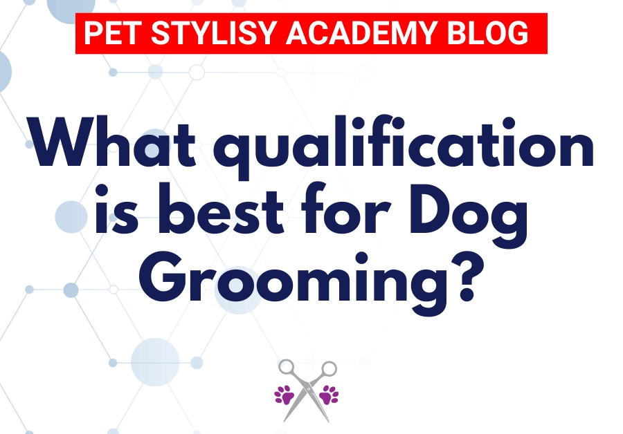 What qualification is best for dog grooming