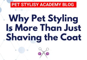 why pet styling is more than just shaving the coat