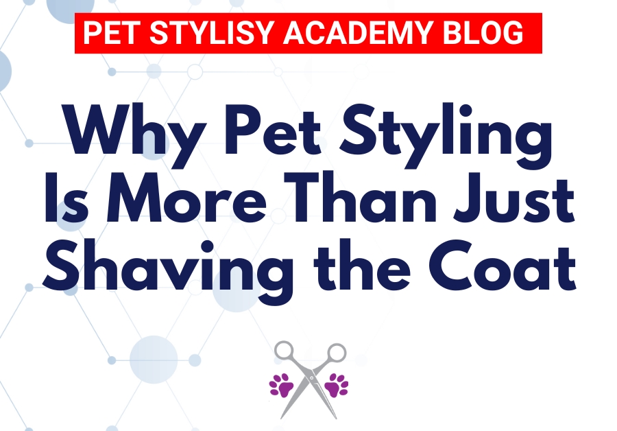 why pet styling is more than just shaving the coat