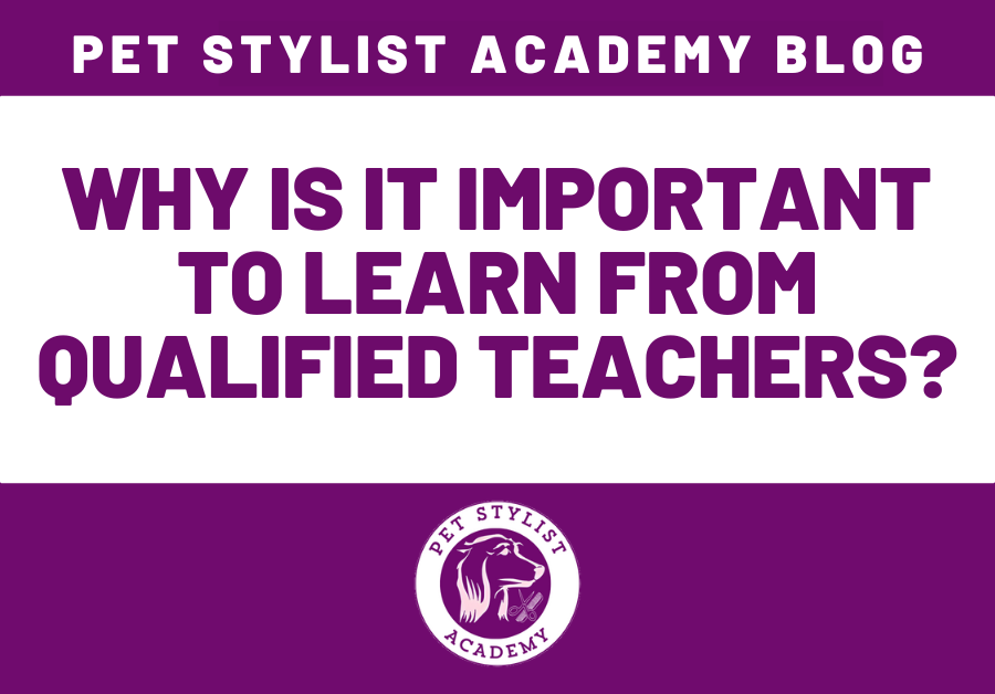 why is it important to learn from qualified teachers