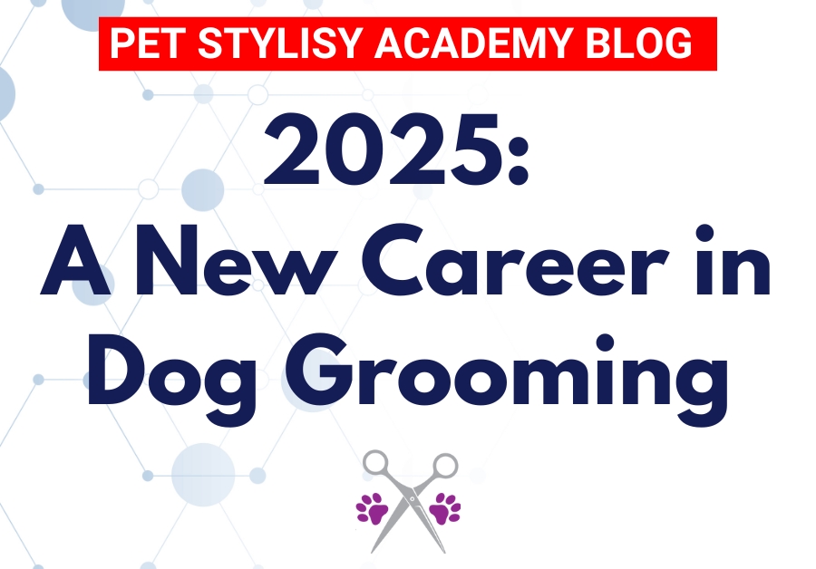 2025 a new career in dog grooming