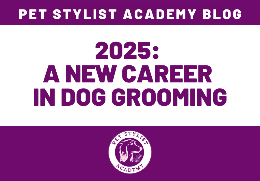 2025 - A new career in dog grooming