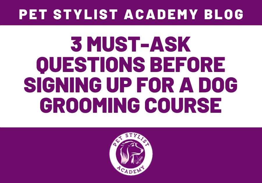 3 must-ask questions before signing up for a dog grooming course