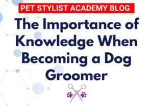 Importance of Knowledge when becoming a Dog Groomer