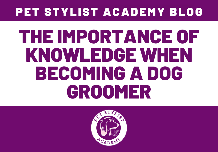 the importance of knowledge when becoming a dog groomer