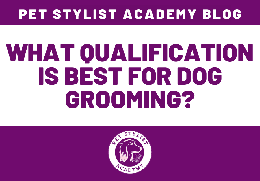 what qualification is best for dog grooming