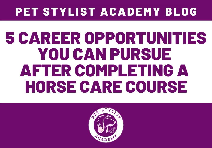 career opportunities horse care