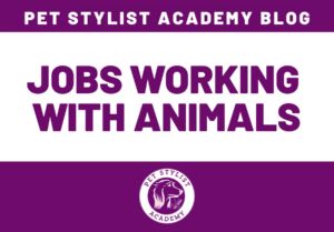 jobs working with animals