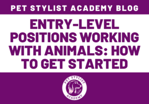 ENTRY LEVEL POSITIONS WORKING WITH ANIMALS