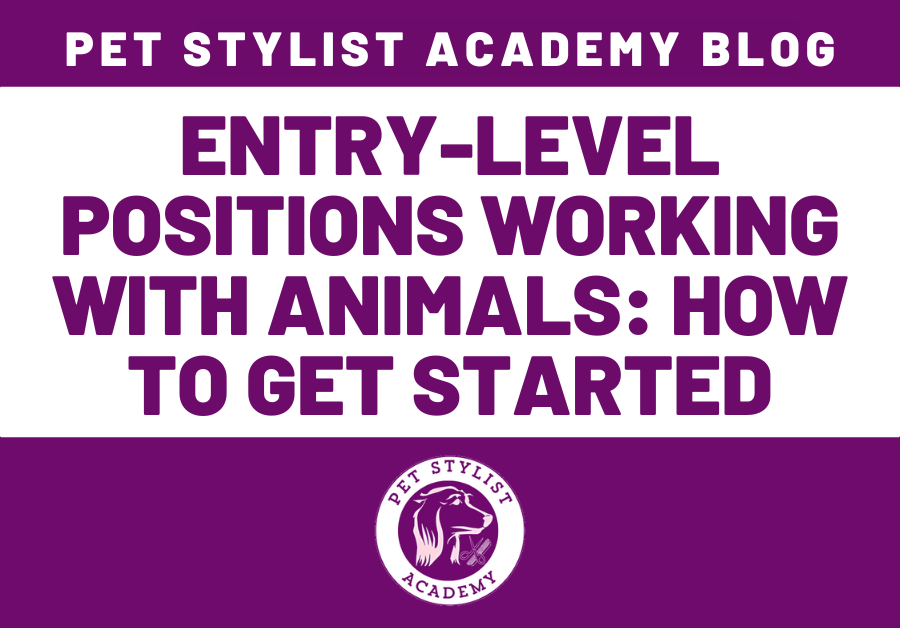 ENTRY LEVEL POSITIONS WORKING WITH ANIMALS