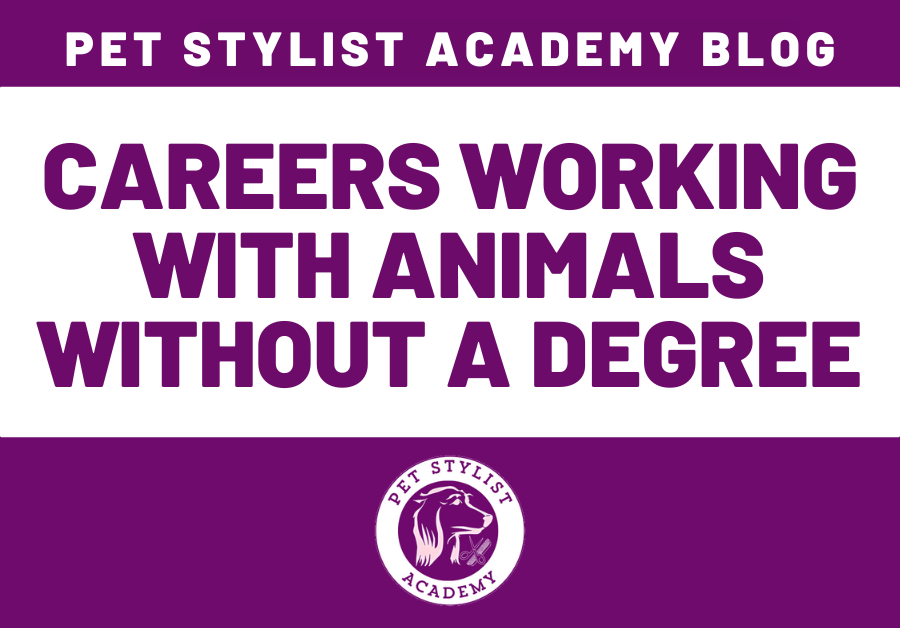 careers working with animals without a degree