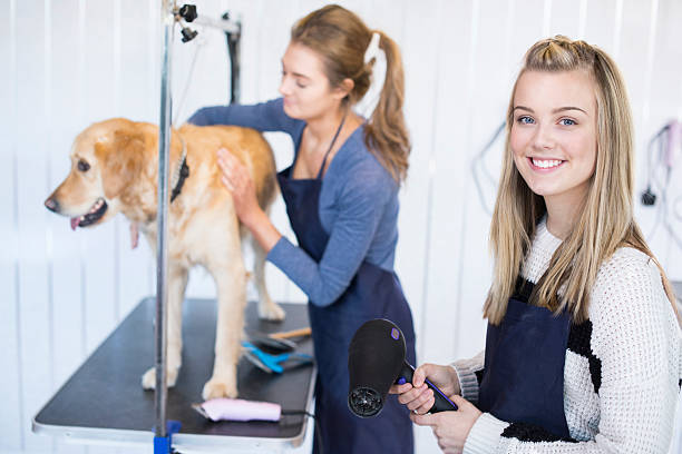 Animal Care Traineeship