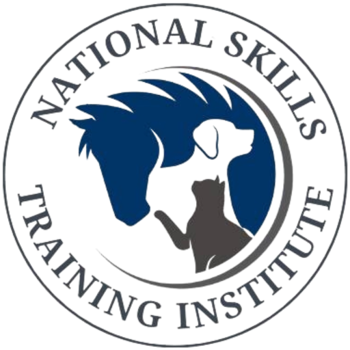National Skills Training Institute